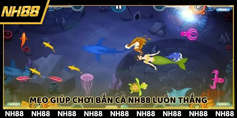 Cần biết các bí kíp để áp dụng bắn cá NH88 tại nhà cái
