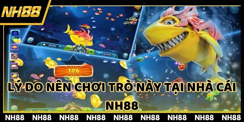 Lý do nên chơi trò này tại nhà cái NH88