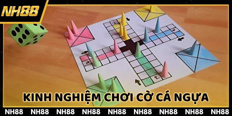 Chia sẻ một số kinh nghiệm quý báu từ cao thủ