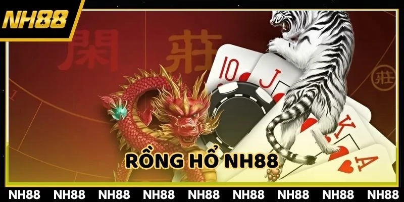 Rồng Hổ NH88